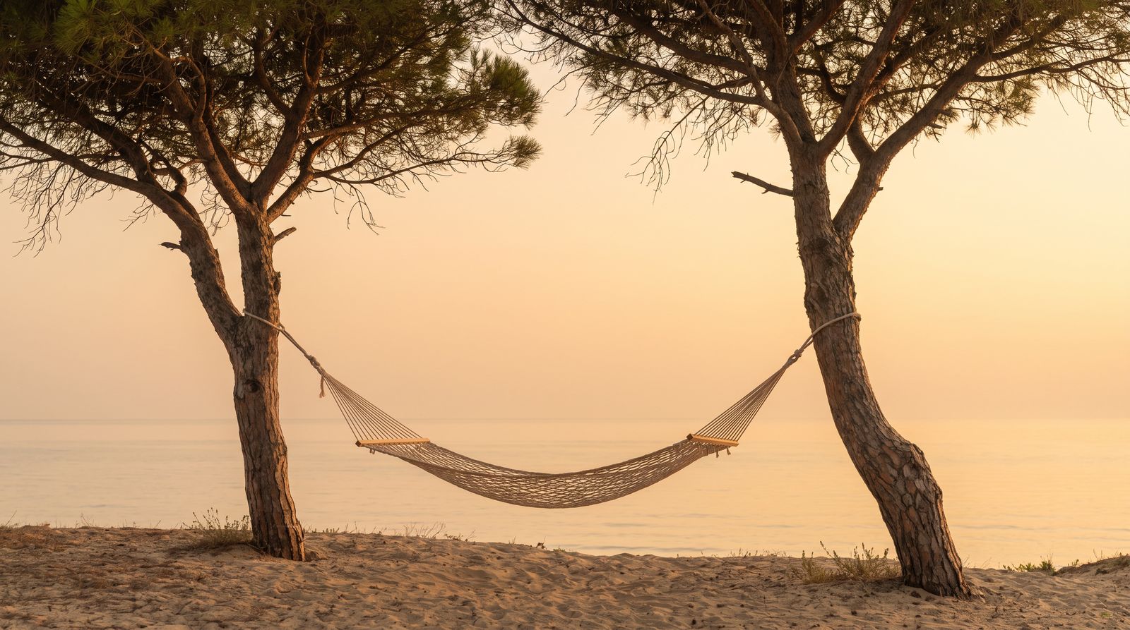 L'Envol Paisible sous les Pins Parasols