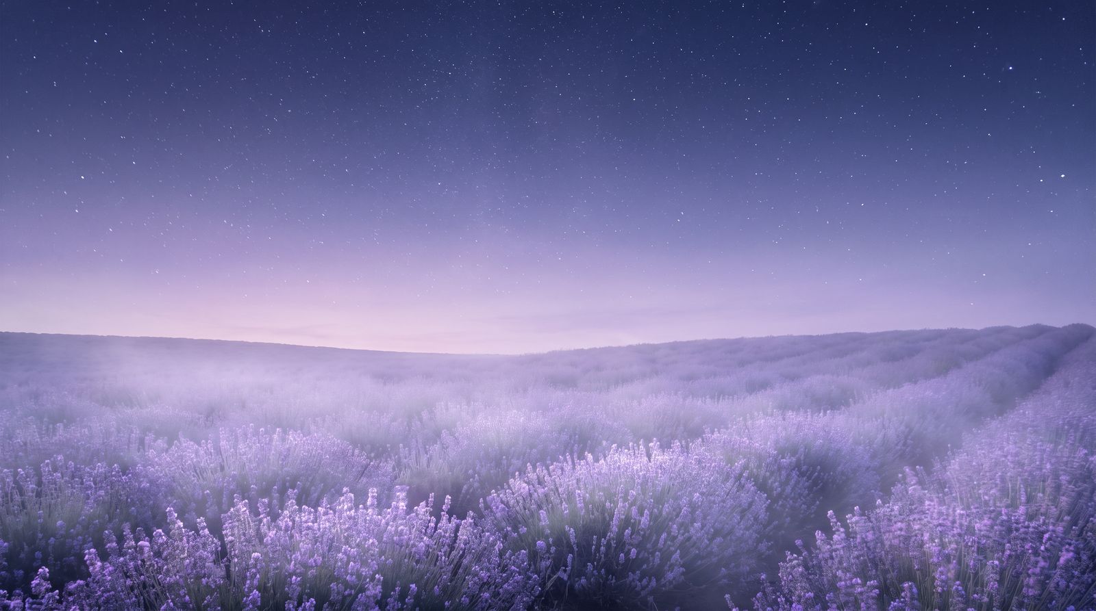Voyage au Cœur de la Nuit Étoilée