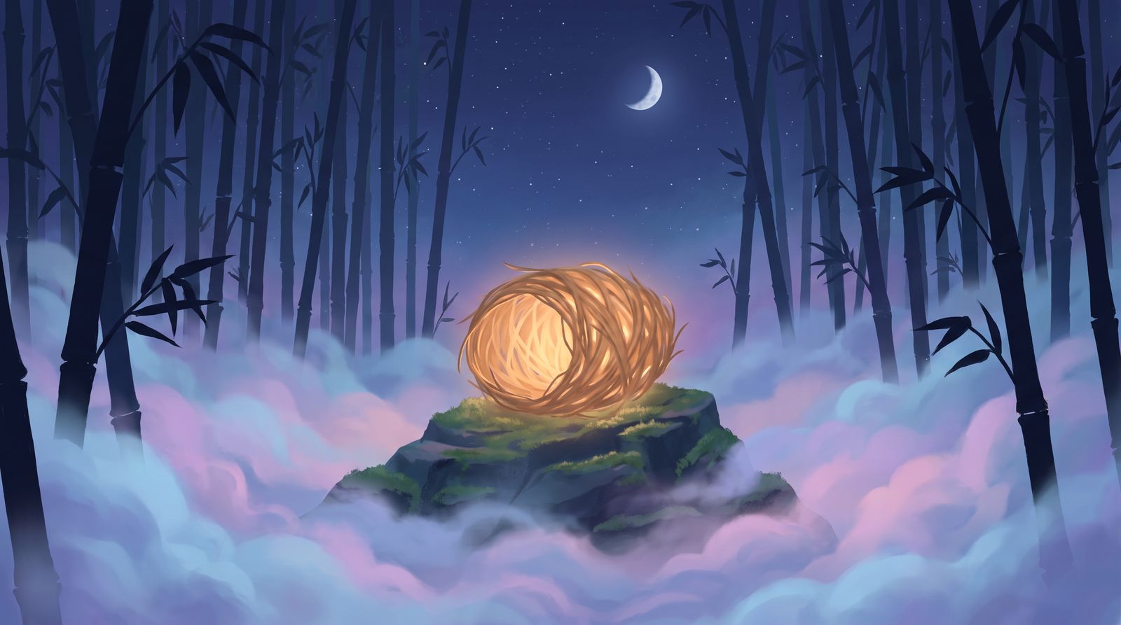 Voyage au Cœur du Cocon de Nuit